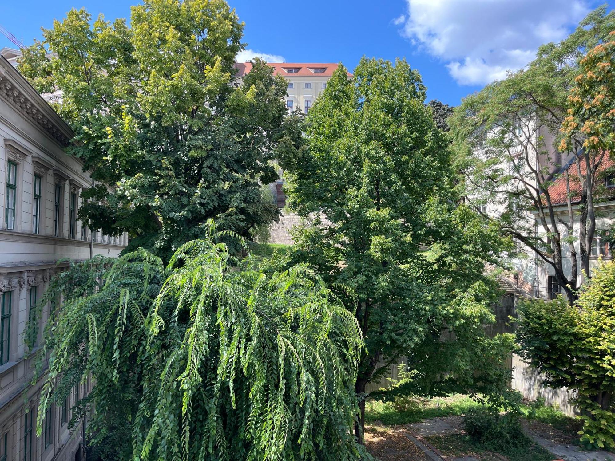Apartment Sunny At The Castle *
